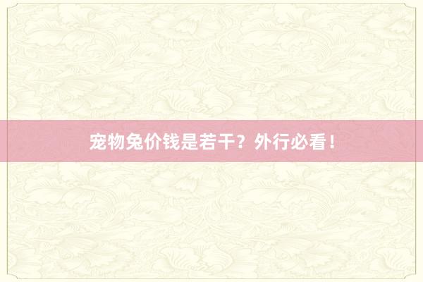 宠物兔价钱是若干？外行必看！